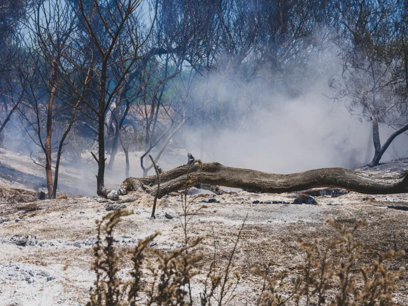 After the Ash Settles: What Arizona Homeowners Must Know About Post-Fire Property Recovery