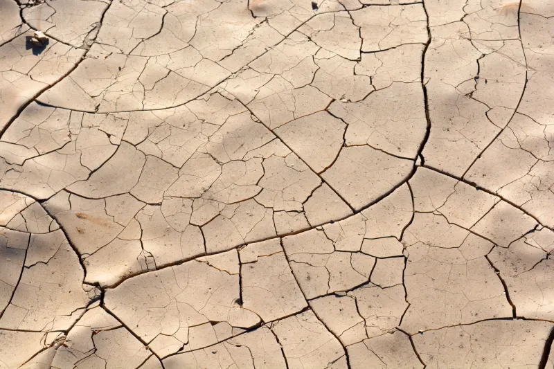 Twelve Months of Risk: How Arizona's Dry Season Quietly Dismantles Your Home